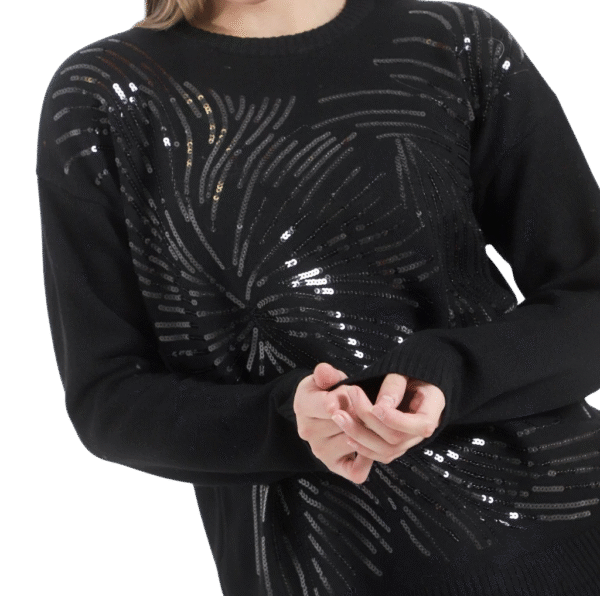 b3b80b74-b216-44ee-9e67-93c023853e2f Sweater FLASH