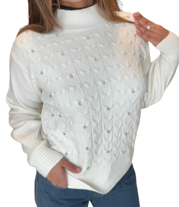 880f2190-d71e-43ca-ad6d-94002f4b7bde Sweater ÉCLATT