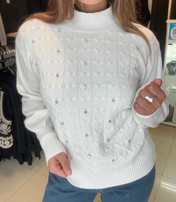 WhatsApp Image 2026-06-23 at 7.01.33 PM (2) Sweater ÉCLATT