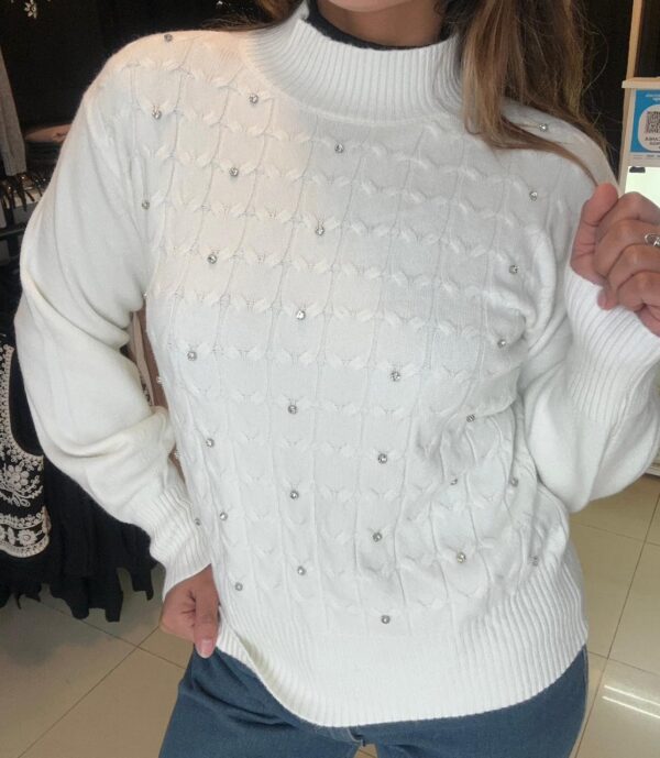 WhatsApp Image 2026-06-23 at 7.01.33 PM (3) Sweater ÉCLATT