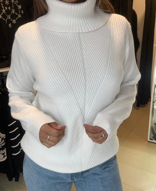WhatsApp Image 2026-06-23 at 7.45.56 PM (1) Sweater VÉRTEX