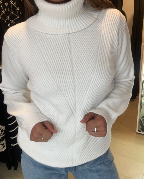 WhatsApp Image 2026-06-23 at 7.45.56 PM (2) Sweater VÉRTEX