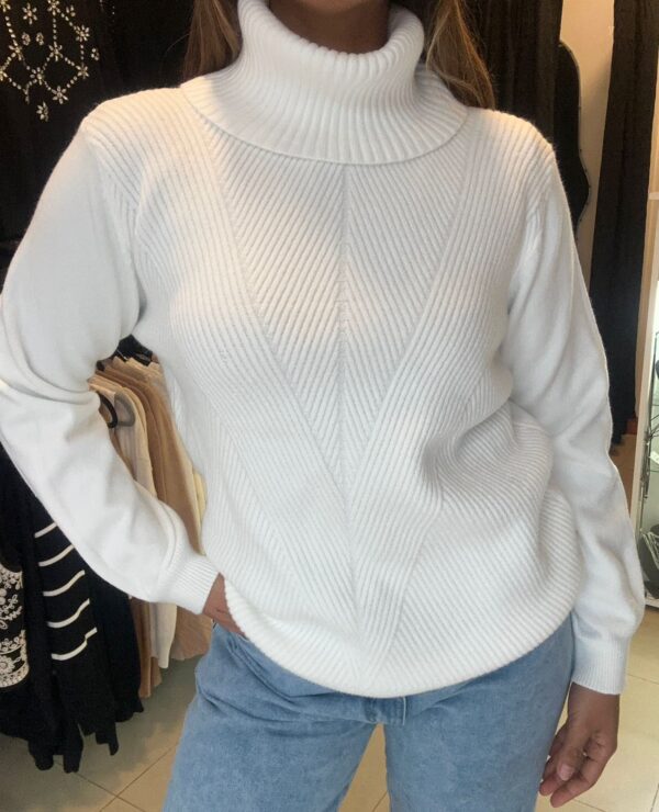 WhatsApp Image 2026-06-23 at 7.45.56 PM Sweater VÉRTEX