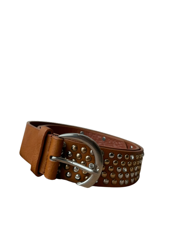 Cinto RIVET