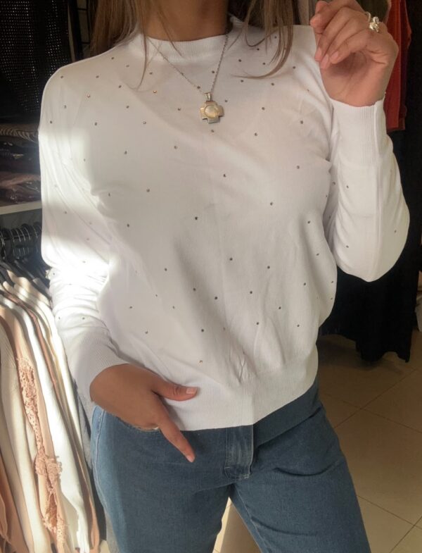 WhatsApp Image 2026-07-21 at 9.54.38 AM (2) Sweater NÖRA