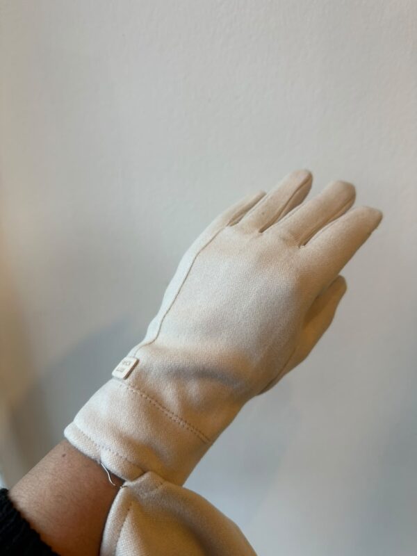 WhatsApp Image 2026-07-25 at 9.32.14 AM (1) GUANTES VELL