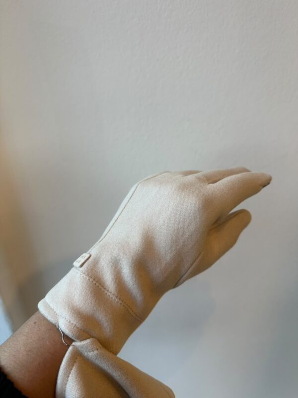 WhatsApp Image 2026-07-25 at 9.32.14 AM (2) GUANTES VELL