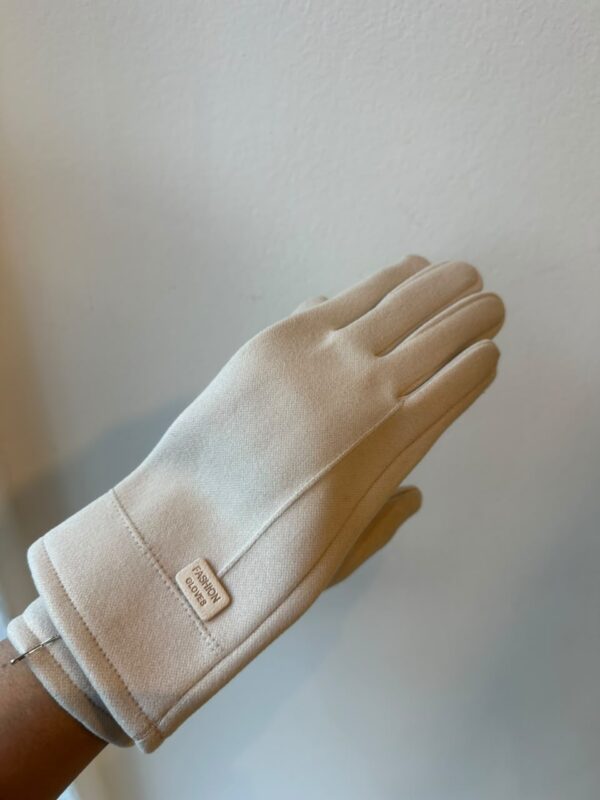 WhatsApp Image 2026-07-25 at 9.32.14 AM (3) GUANTES VELL