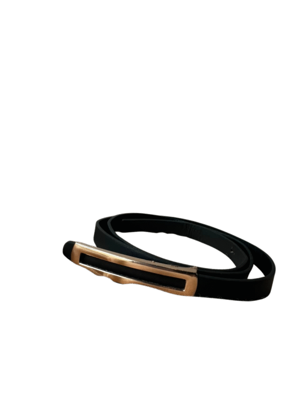 ee40395f-680a-42b7-a585-c8589de70f61 Cinto LUXE